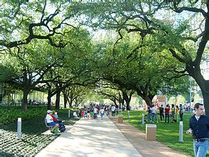 Houston – Travel guide at Wikivoyage.